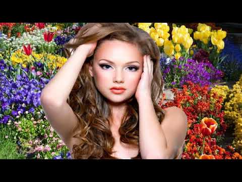 NOCKALM QUINTETT BITTE, GIB MIR EINE CHANCE