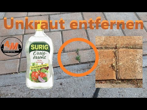 Auffahrt von Unkraut befreien 👷  - 4M
