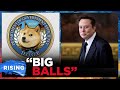 Kids Of DOGE Engineer Big Balls Goes Viral Another Musk Staffer RESIGNS After Racist Posts