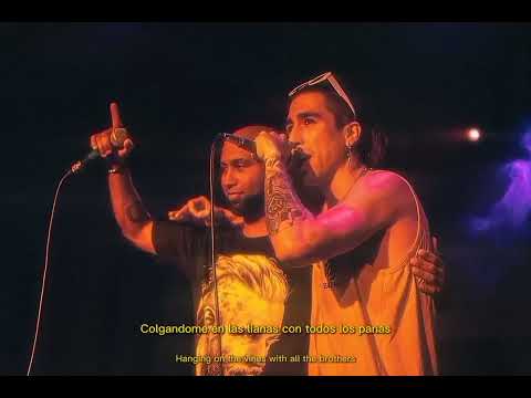 Warrobit - SIEMPRE READY