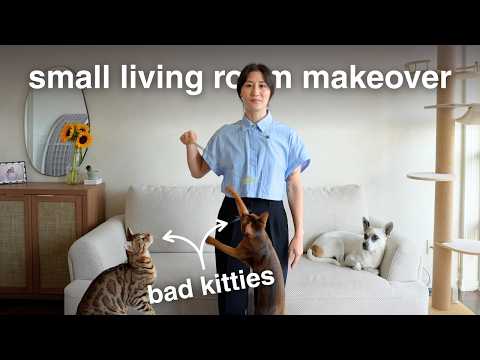 Turning my tiny living room into a COZY CAT LAIR
