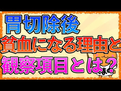 イラストで学ぶ医学！「胃切除後に貧血になりやすい理由と看護とは？」巨赤芽球性貧血の病態や観察項目をわかりやすく解説！