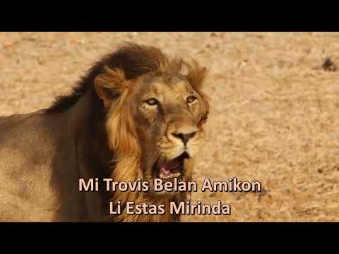 Yesterday, Today, Forever Medley (Esperanto)