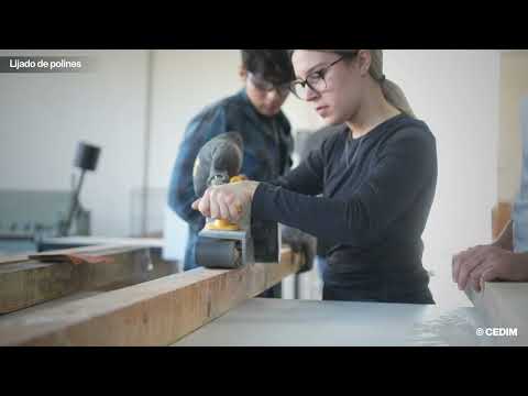 CEDIM Centro de Estudios Superiores de Diseño de Monterrey S.C.