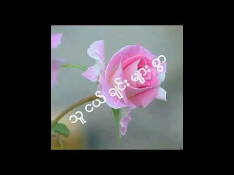 စုိင္​းစုိင္​းခမ္​းလိႈင္​ သူငယ္​ခ်င္​းမ်ားစြာ