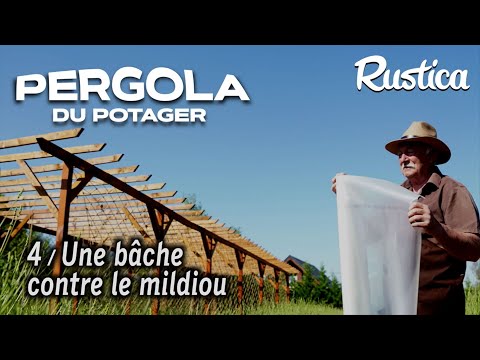 , title : 'Une pergola au potager - 4 protéger les tomates du mildiou avec une bâche'