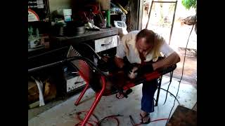 empalhando cadeira Gaspar o ajudante só atrapalha