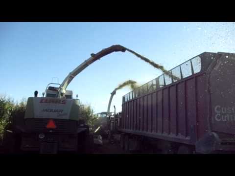 CLAAS CHOPPING KROSKOB FARMS