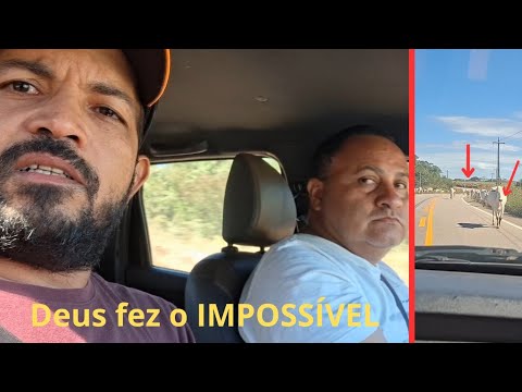 Os milagres que vivemos só podem ser explicados pela graça de Deus.