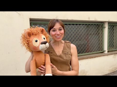 El Pot Petit - El comiat més especial de l'espectacle  "Les aventures del lleó vergonyós"