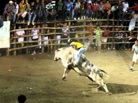 Bull fights in Costa Rica, Samara Beach!