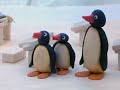 Aaf Pingu S01e19 Pingu At School Dvdrip Xvid