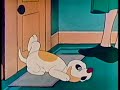 Hector S Hectic Life