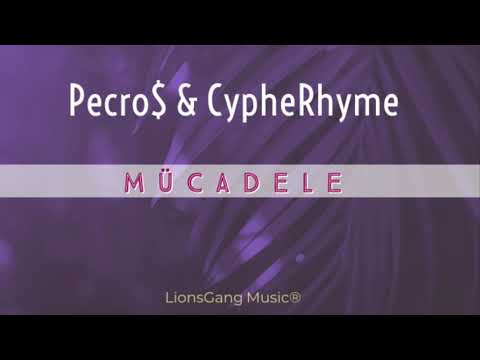 Pecro$ X CypheRhyme - Mücadele Prod. Tower beatz [ Lionsgang Music© ] { Melankolik Rap }