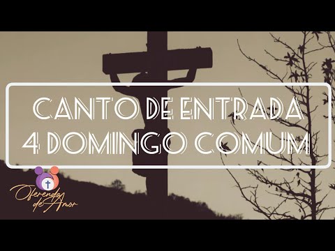 Canto De Entrada - 4 Domingo Do Tempo Comum Ano A - Misc Praise Songs
