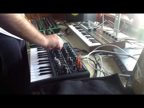 Roland Aira TR-8, TB-3, Microbrute and MicroKorg Live Performance - Matteo Corrao
