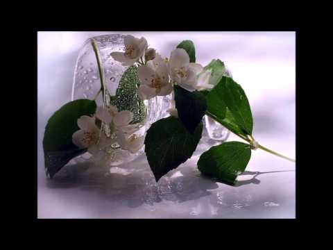 Stane Vidmar   Ni življenje čaša vina