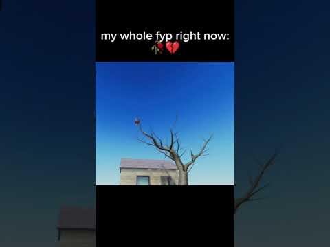 screaming chicken meme