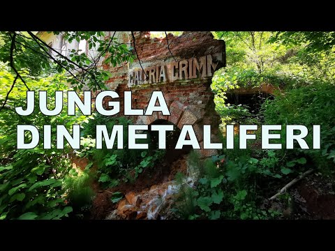 Mina Barbura, veche din 1889, ruine și junglă