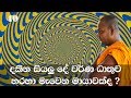 maha-sinha-nadaya-(40)-14-03-2019