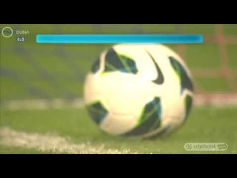 22.11.2013 Puskás Akadémia FC - KTE-Phoenix Mecano 2-2