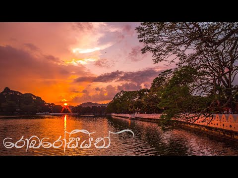 Robarosiyan (රොබරෝසියන්) | Kalpana Kavindi ft Tharindu Damsara