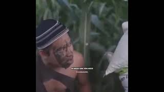 Download lagu story wa 30 detik || story wa agus kotak || story wa kekinian terbaru 2021 mp3 Download lagu story wa 30 detik || story wa agus kotak || story wa kekinian terbaru 2021 mp3