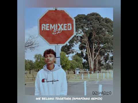 DJ ShadzO - We Belong Together (Amapiano Remix)