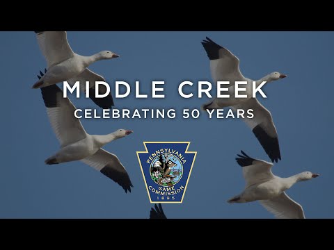 Middle Creek: Celebrating 50 Years