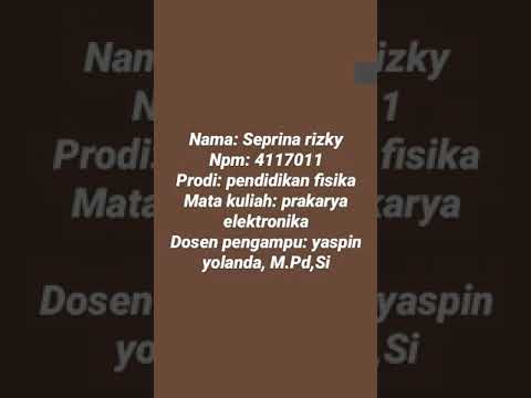 The Biografi Of Denica Flesch