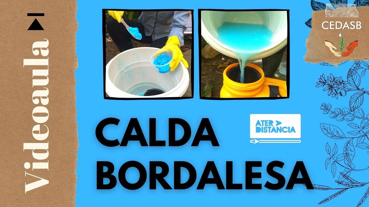 Calda Bordalesa - videoaula [ATER a Distância]