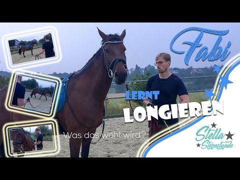 Reiten lernen: Fabian lernt Longieren | #Stella Sternstunde – #Dressurpferd im #Aktivstall
