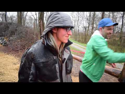 Velika noč v Šalincih