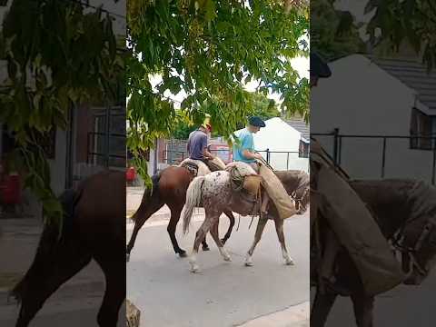Vida de pueblo. Valle Hermoso, Córdoba, Argentina.#vallehermoso