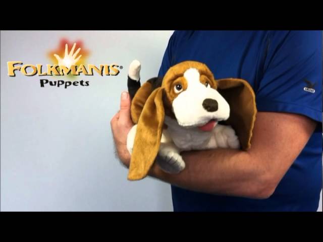 Video Teaser für 2919 Folkmanis Basset Hound