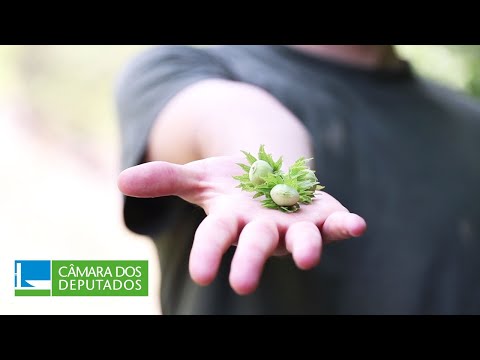 Presidente da Câmara assina Pacto pela Transformação Ecológica - 21/08/24
