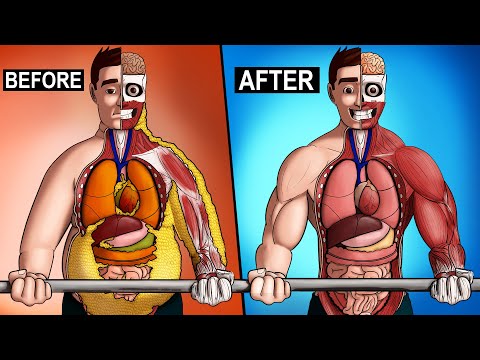 What Happens To Your Body From Exercise