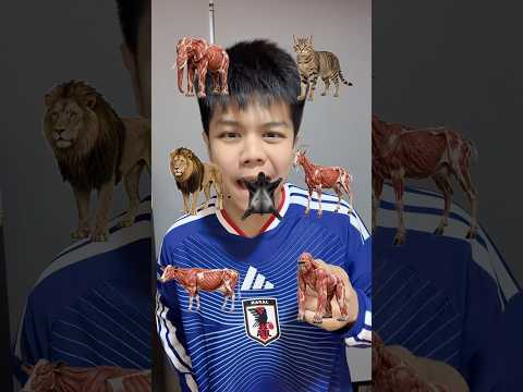 ชุบสัตว์ฟื้นๆ