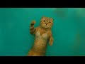 The Fate Of Ophelia Taylor Swift Lumie Cinematic Version