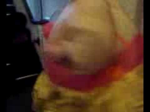 Dancing fatty-Aletta Warne