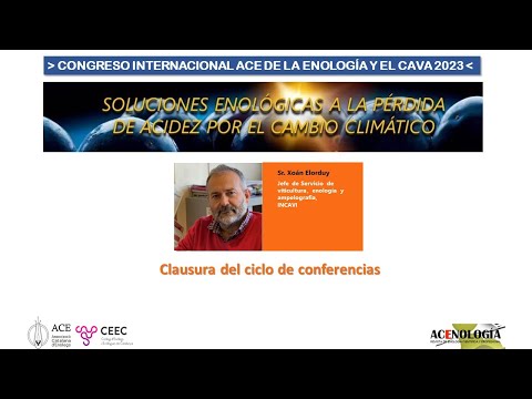 Fotograma del vídeo: Conclusiones y clausura del ciclo de conferencias del Congreso ACE 2023