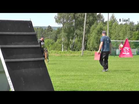 Gamle Bry`n Av Staalhjerte  - B @ Norwegian Masters 2013