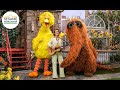 Sesame Street Big Bird Snuffy Sing Thats Why We Love Nature With Brandi Carlile