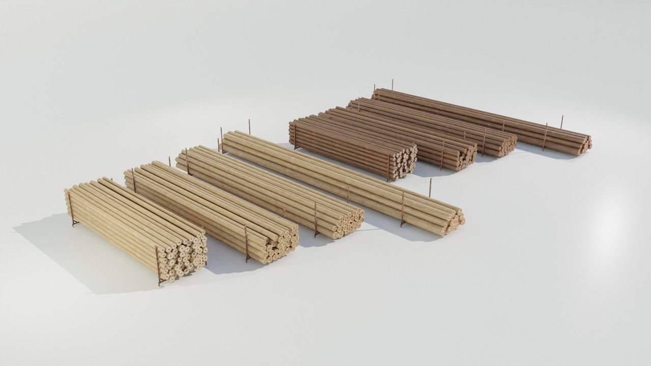 Wooden Utility Poles 3D Model