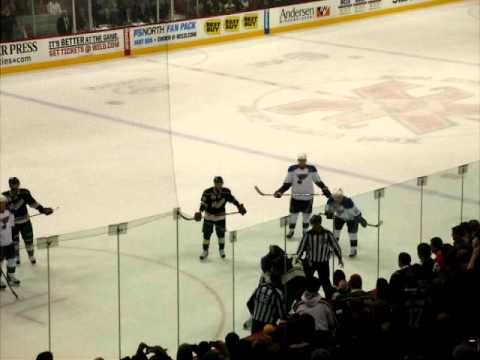 Minnesota Wild vs. St. Louis Blues fight