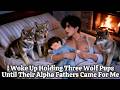 BL | I Woke Up Holding Four Wolf Pups...Until Their Alpha Fathers Came For Me