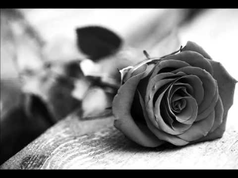 Dragoljub Lazarević - Mislio sam noć i dan