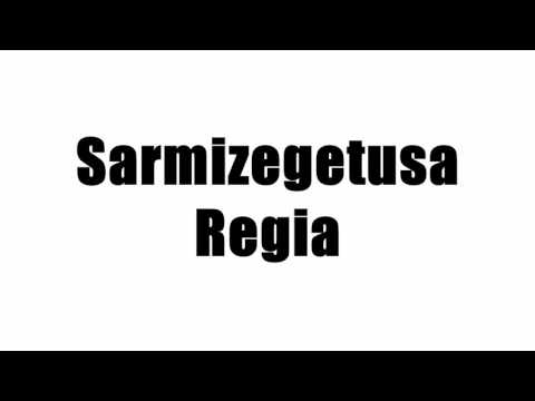 Sarmizegetusa Regia