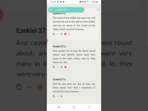 FAQ 166 - Where Is The Third Temple?