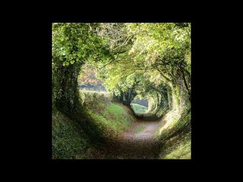 [free for profit] sad indie x indie rock type beat - "differently"